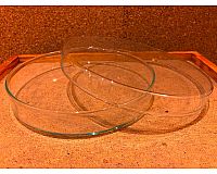 16x Petrischale 200 x 30 mm Glas Labor Petri Schale 20 x 3 cm